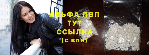 винт Новозыбков