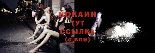 винт Новозыбков