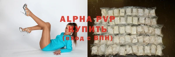 винт Новозыбков