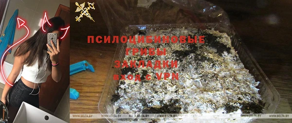 ПСИЛОЦИБИНОВЫЕ ГРИБЫ Новодвинск