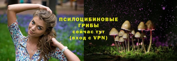 стафф Хотьково