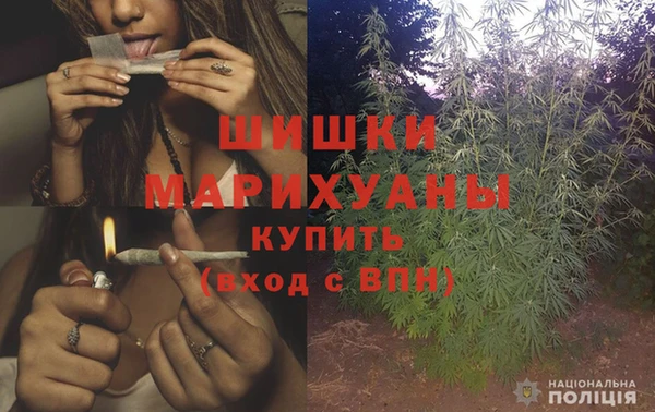 винт Новозыбков