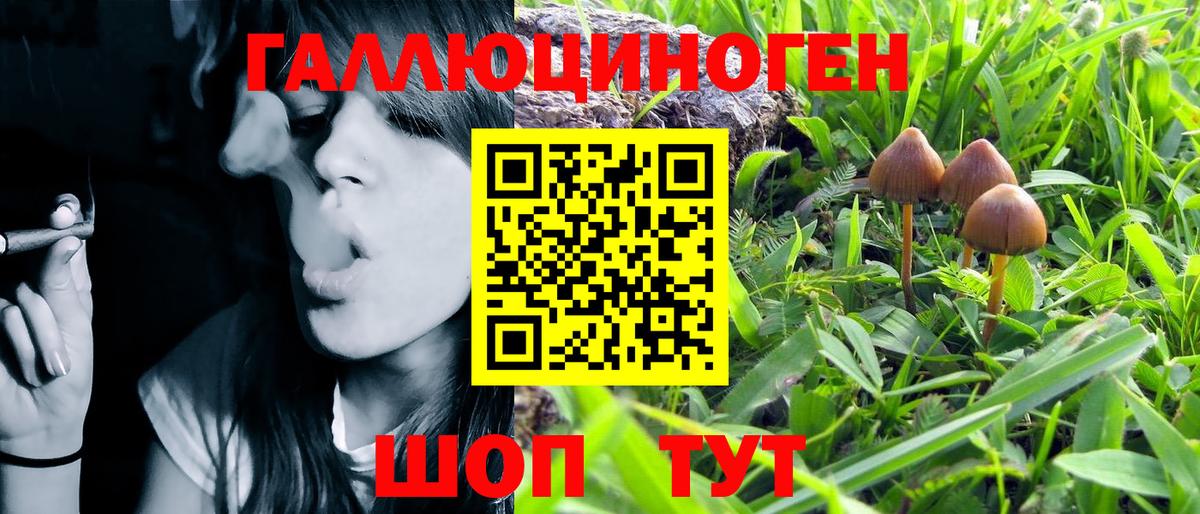 Псилоцибиновые грибы Magic Shrooms  Симферополь 