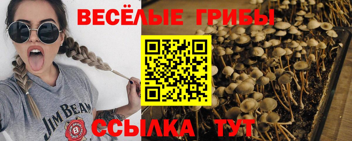 Псилоцибиновые грибы Magic Shrooms  Псилоцибиновые грибы Cubensis  Симферополь  Вход с VPN 